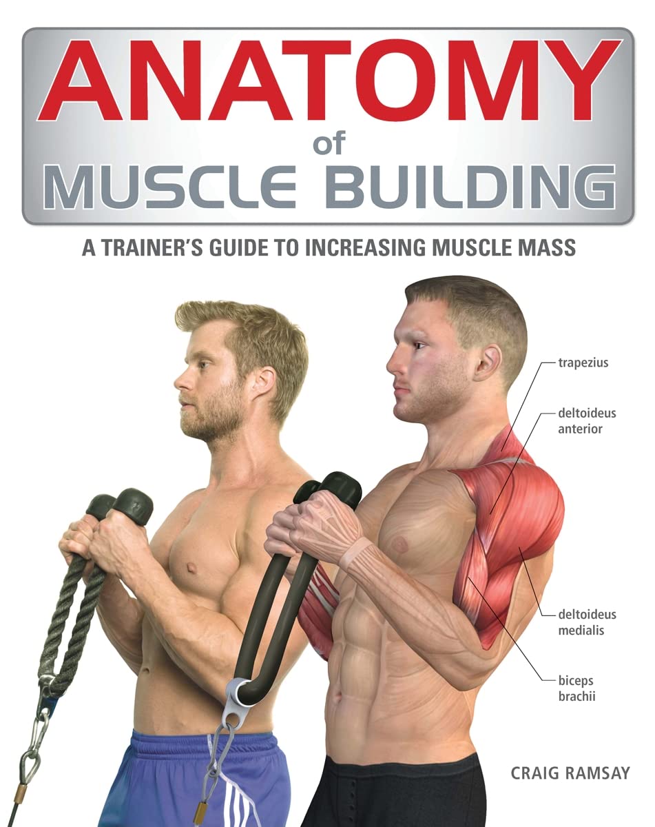 Anatomy of Muscle Building: A Trainer’s Guide to Increasing Muscle Mass